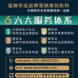 數(shù)字田野的耕耘之道 藍(lán)獅策劃互聯(lián)網(wǎng)+農(nóng)業(yè)市場(chǎng)的營(yíng)銷(xiāo)策略解析